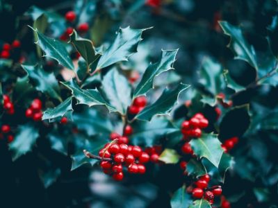 December marketing holidays