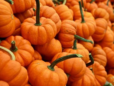 October marketing holidays