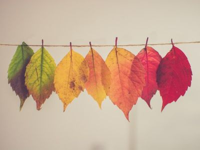 September marketing holidays