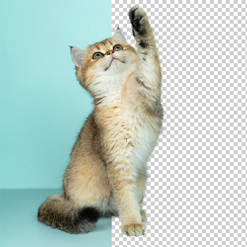 Image with background partially removed